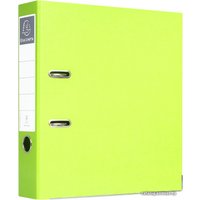 Папка-регистратор Exacompta 53623E (салатовый)