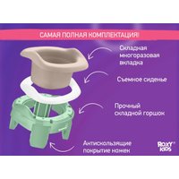 Дорожный горшок Roxy Kids HandyPotty 3 в 1 HP-255OB (оливковый/бежевый)