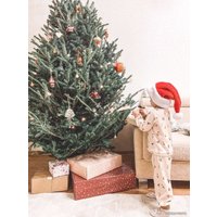 Ель HD Nordic Trees Фразера Датская Премиум (1.7-2 м, срезанная)