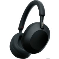 Наушники Sony WH-1000XM5 (черный)