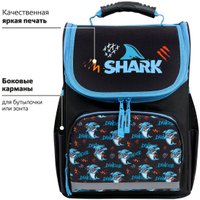 Школьный рюкзак Пифагор Basic. Angry Shark 272044