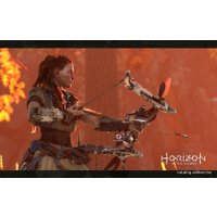  Horizon: Zero Dawn для PlayStation 4