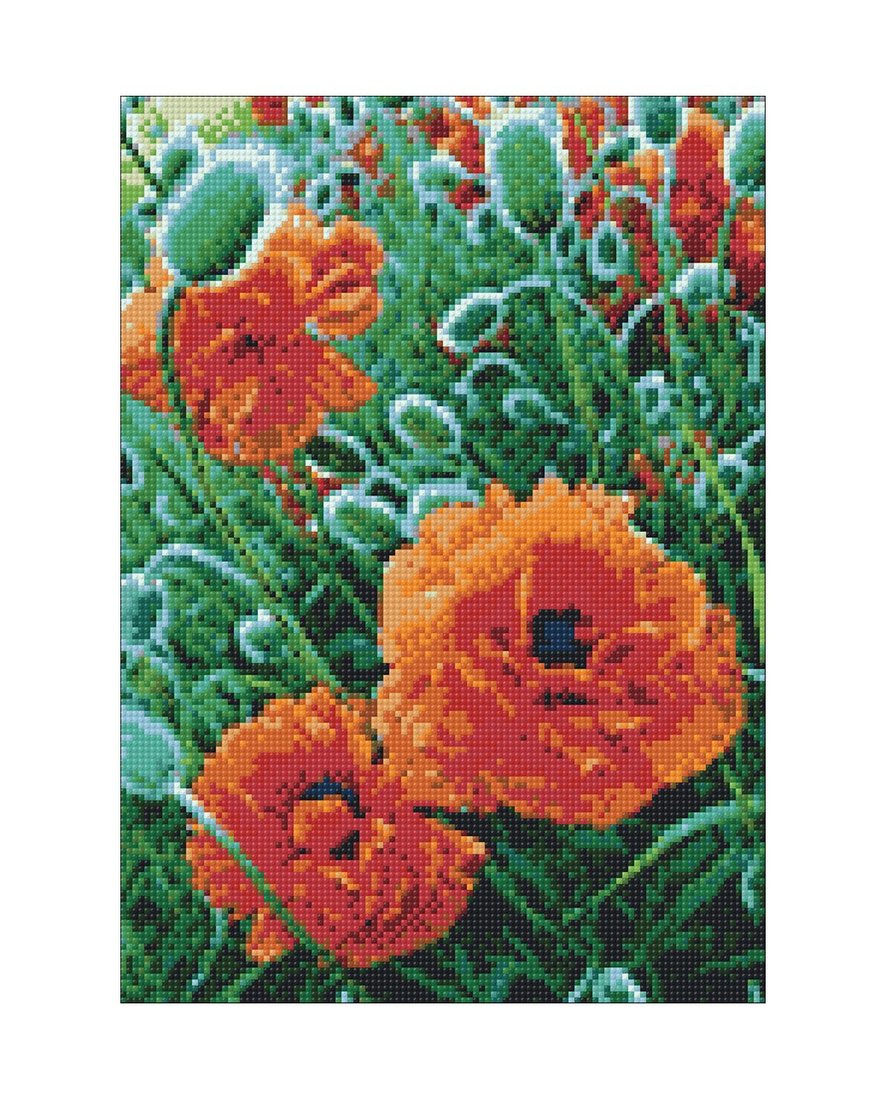 

Алмазная мозаика Wizardi Маковый луг 2WD012