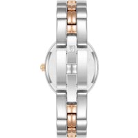 Наручные часы Anne Klein AK/5021SVRT