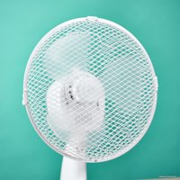 Вентилятор Timberk T-DF901