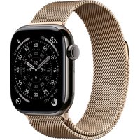 Умные часы Apple Watch Series 11 LTE 46 мм (титановый корпус, сланец/золотистый, миланская петля)