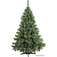 Ель Бифорес Арктика 3 м