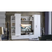 Стенка Трия Дакота (белый ясень)