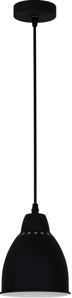 

Светильник Arte Lamp Braccio A2054SP-1BK