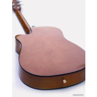 Акустическая гитара Homage LF-3800CT-N