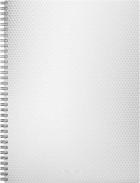 

Общая тетрадь Erich Krause Total White А4 58549 (80 л)