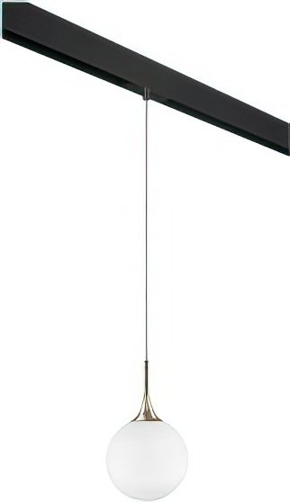 

Подвесная люстра Lightstar Globo PRO813023