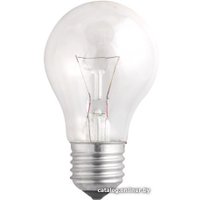 Лампочка JAZZway A55 E27 95 Вт [2859310]