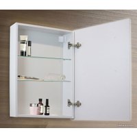  Silver Mirrors Шкаф с зеркалом Киотo 60х80 LED-00002359