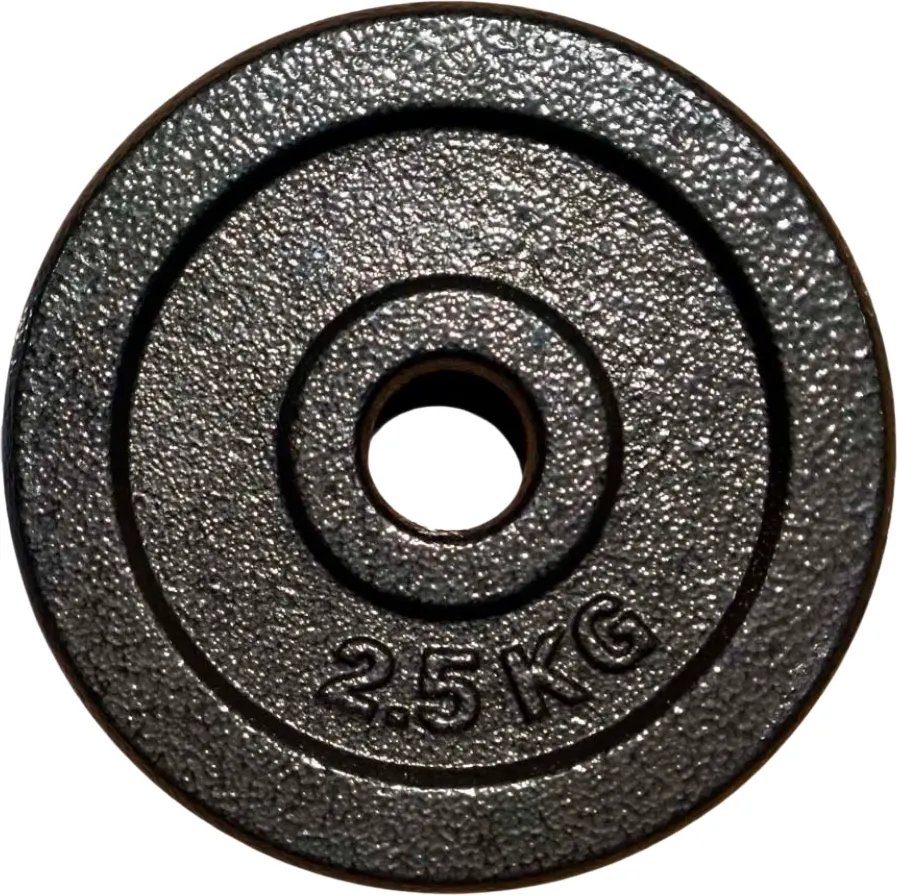 

Диск ZEZ Sport DK-2.5 (окрашенный)