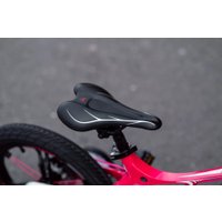 Детский велосипед Lenjoy Sports Pilot 16 LS16-9P (розовый)