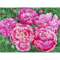 Картина по номерам Белоснежка Июньское утро 337-AS в Могилеве