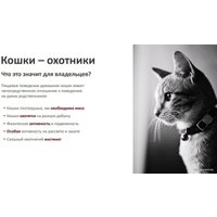 Сухой корм для кошек Landor Sterilised Adult для стерилизованных с индейкой и уткой 10 кг