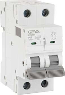 

Выключатель автоматический GEYA GYM9H-2P-16D 2P 16A D 10kA 2M GYM9H2P16D