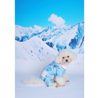 Комбинезон для животных Пижон Метель 9667193 (XS, голубой)
