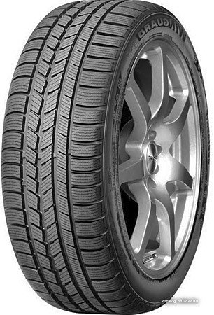 Зимние шины Roadstone Winguard Sport 205/50R17 93V