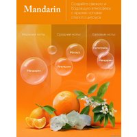 Аромадиффузор Solex Мандарин (50 мл)