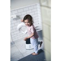 Детская накладка на унитаз BabyBjorn 0580.25