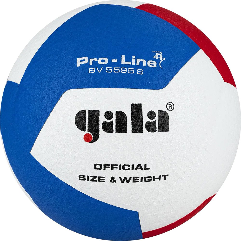 

Волейбольный мяч Gala Pro-Line 12 BV 5595 SA (размер 5, белый/красный/голубой)