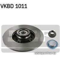  SKF VKBD1011