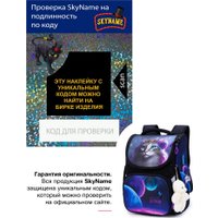 Школьный рюкзак SkyName 2098 + брелок мишка