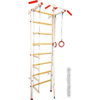 Детский спортивный комплекс Экта Спортивный комплекс СК1У с навесным оборудованием белый/красный