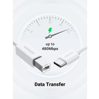 Кабель Ugreen US241 40560 USB Type-B - USB Type-C (1 м, белый)