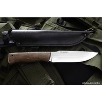 Нож Кизляр Стриж (31431)
