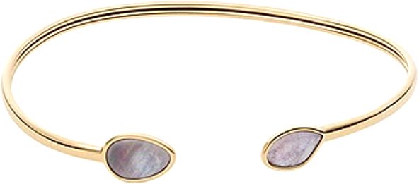 

Браслет Skagen SKJ1556710