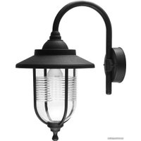 Уличный настенный светильник ESCADA 30010W/01