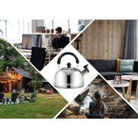 Чайник со свистком Sundays Home TBD0604715801 (3л)