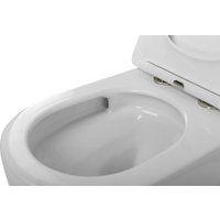 Унитаз подвесной Cezares Stream CZR-2426-TH-TOR/SC в Борисове