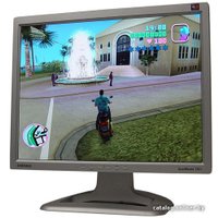 Монитор Samsung SyncMaster 213T