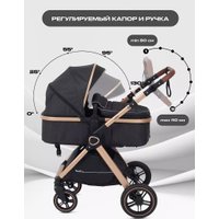 Универсальная коляска Rant Basic Roller Gold RA161 (2 в 1, black)