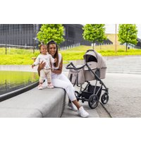 Универсальная коляска BEBETTO Flavio (2 в 1, 03)