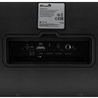 Беспроводная колонка Eltronic 30-85 Dance Box 900 (черный)