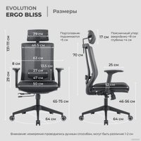 Офисное кресло Evolution ERGO BLISS Black (черный)