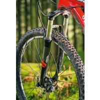 Велосипед Specialized Rockhopper 29 (2014)