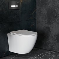 Панель смыва Roxen Glass 430280B