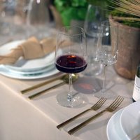 Набор бокалов для красного вина Bormioli Rocco Planeo 3.65748-4