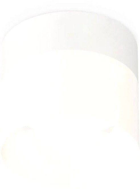 

Точечный светильник Ambrella light Techno spot XS8101016 SWH/FR