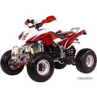 Квадроцикл IRBIS ATV 250S