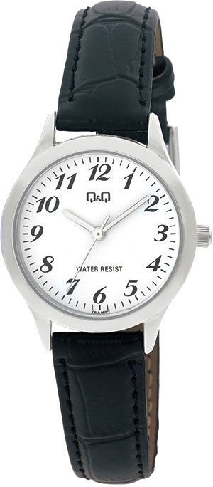 

Наручные часы Q&Q Standard C01AJ007