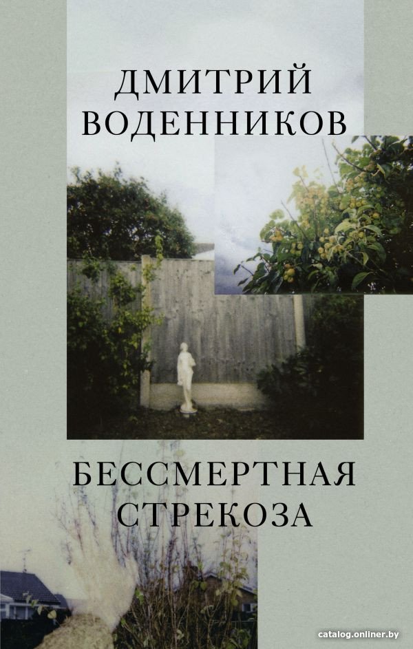 Книга издательства АСТ. Бессмертная стрекоза (Воденников Д.Б.)