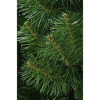 Сосна Erbis Sosna сибирская 220